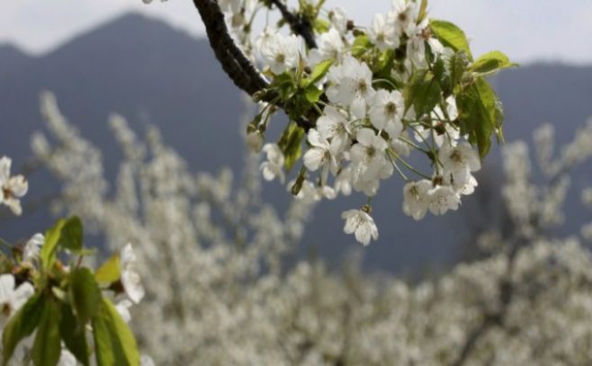 Unesco examinará 28 potenciales Reservas de la Biosfera