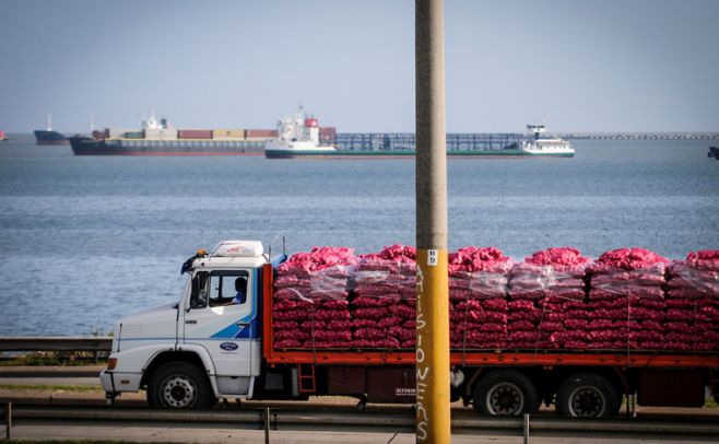 Exportaciones aumentaron 8% en el primer semestre del 2017