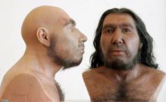 El ADN aclara la relación de Neandertales y humanos modernos
