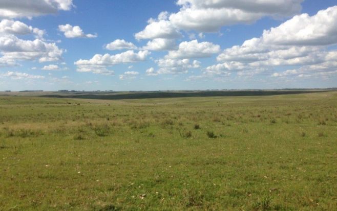 Zambrano & Cía. Vende campos de sur a norte