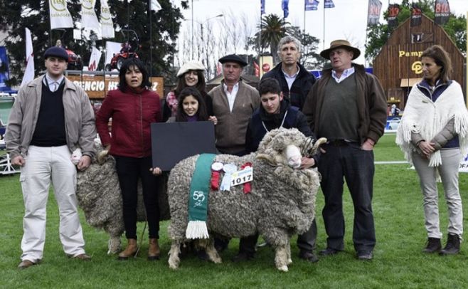 Agro: "Santa Catalina" va por más grandes campeones