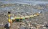 La anguila robótica que detecta polución de agua mientras nada