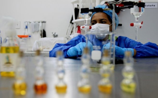 Científicos logran producir anticuerpos humanos en laboratorio