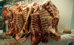 Carne: tipificación, un paso más para la objetividad