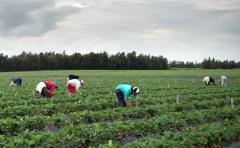 Las Buenas Prácticas Agrícolas como camino para cuidar la salud de todos