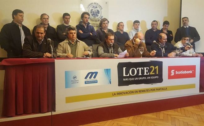 Lote 21 pone en el mercado 5291 vacunos y 750 lanares certificados