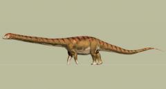 "Patagotitan mayorum", el coloso argentino de los dinosaurios ya tiene nombre