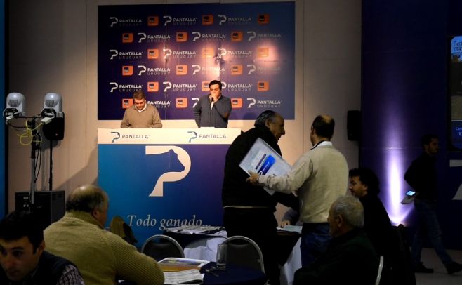 Desde la Rural del Prado, Pantalla Uruguay realizará este miércoles su remate 183