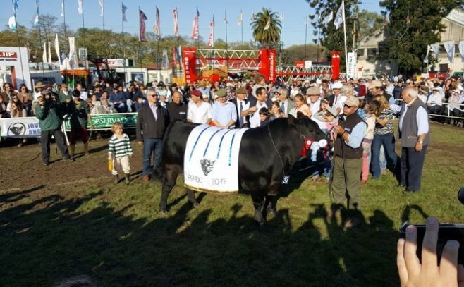 En Angus nuevamente "El Yunque" fue el mejor