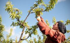 BPA: por una producción más sustentable