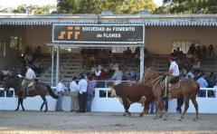 99Âª edición de Expo Flores, "una muestra de multiespacios"