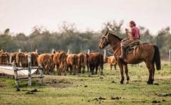 Empleo rural: Carta abierta, pero con destinatario