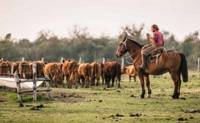 Empleo rural: Carta abierta, pero con destinatario