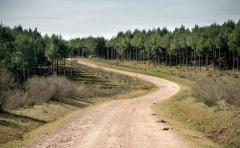 4ta Jornada Forestal del INIA, en la línea de la biodiversidad y la capitalización