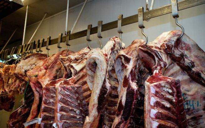 Diferencias en carnes y etanol abren nuevo "desafío" para acuerdo UE-Mercosur