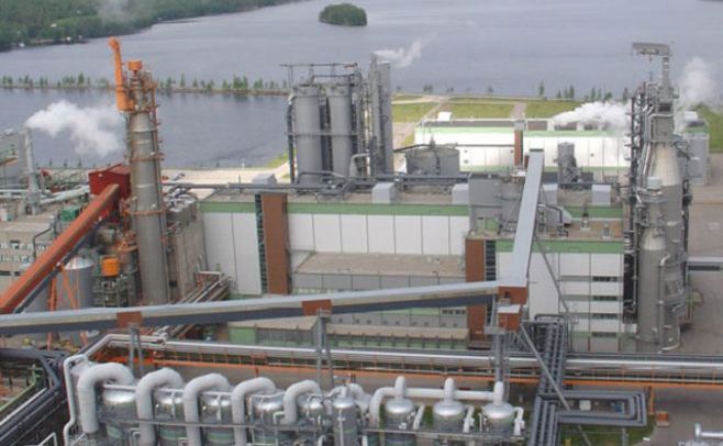 UPM dice que aún restan dos etapas para evaluar instalación de otra planta