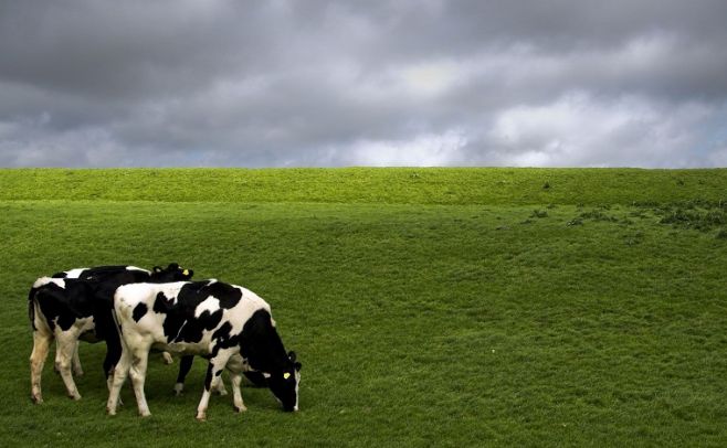 Previsión: para los próximos meses se esperan lluvias por debajo de lo normal