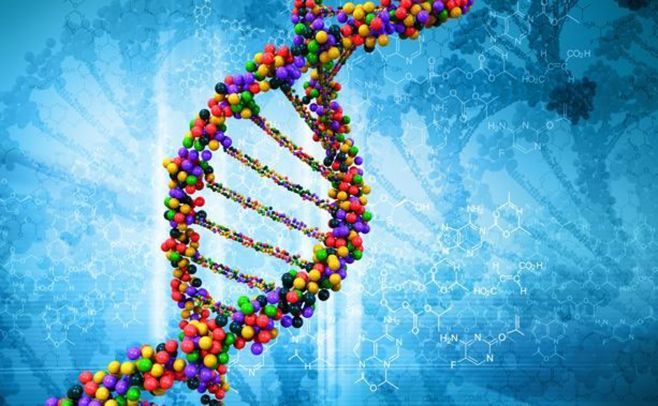 Un nuevo método describe nuevos genes en la "materia oscura" del ADN