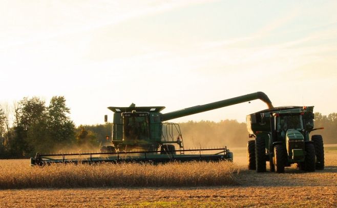 USDA: Nuevo informe no reflejó las expectativas del mercado de granos