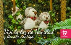 Vení a vivir la Luz de la Navidad a Portones y llevala contigo