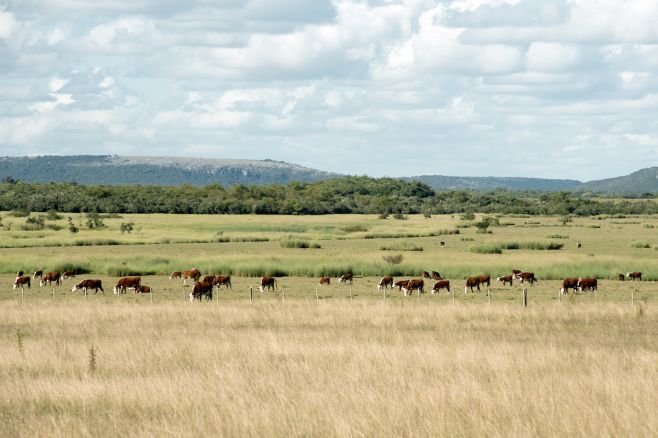 El fenómeno de "La Niña" estaría presente por todo 2018