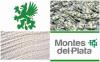 ¿Quién gana con la celulosa?
