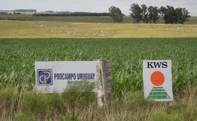 Procampo: 27 años innovando en la agricultura