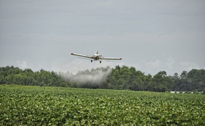 Agricultura de precisión: hay avances que ayudan a la sostenibilidad del negocio