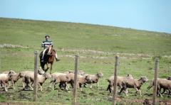 J.A. Elhordoy: "La conciencia pasa por no ver un muro entre el campo y la ciudad, sino ver todo el paisaje".