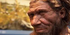 Los neandertales, mucho menos neandertales