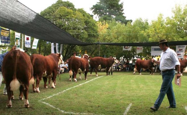 Expo Durazno: la antesala del Prado acapara la atención