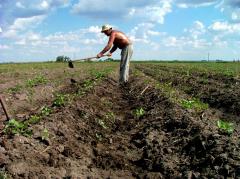 El impacto de las demandas del agro en la agenda política