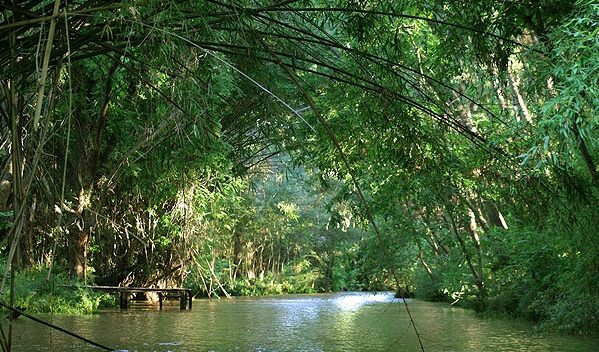 Dos secuestrados y torturados en el Delta podrían ser testigos contra Tróccoli