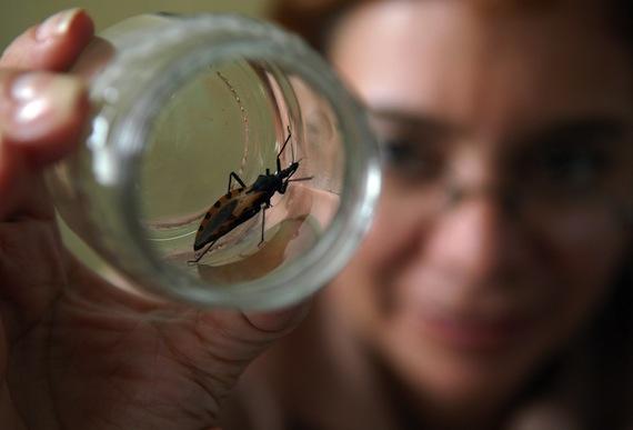 Aprueban presentación pediátrica del medicamento contra el mal de Chagas