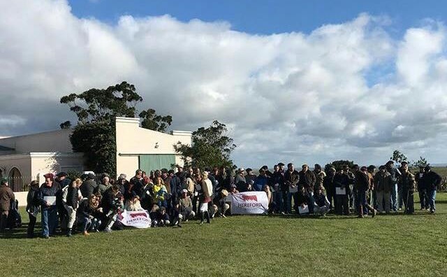 "Las Espuelitas" en campo natural y la productividad del Hereford, el objetivo ha sido siempre "una ganadería eficiente"