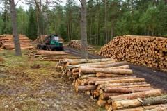 Honduras y la UE suscribirán acuerdo sobre buena gobernanza forestal
