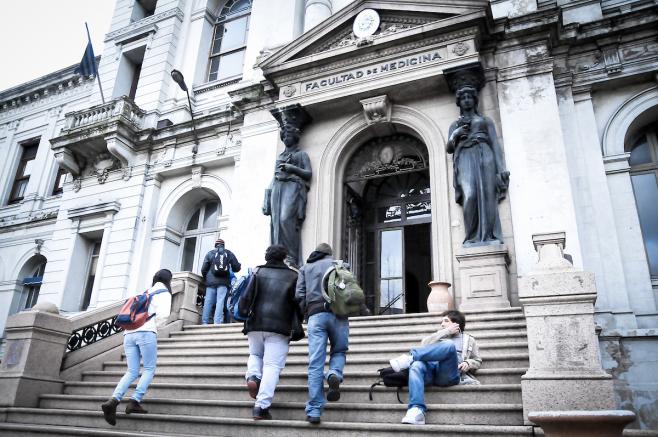 Más de 8.000 estudiantes universitarios recibieron becas este año