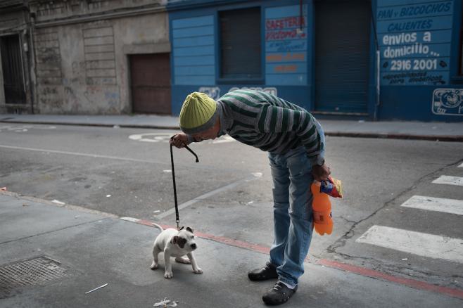 Más de 10.000 perros serán castrados gratuitamente en Montevideo