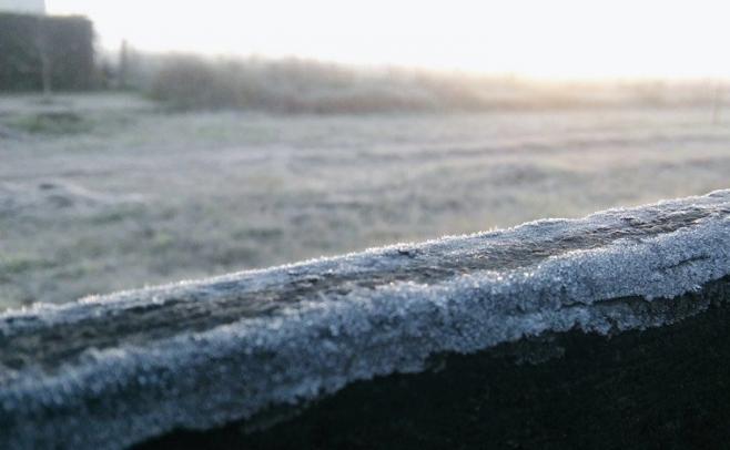 Bidegain: "la próxima primavera puede tener lluvias por encima de lo normal"