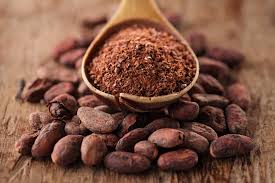 Costa Rica impulsa acciones para consolidar la agrocadena de cacao