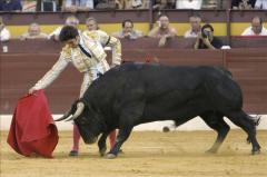 El Parlamento portugués rechaza la abolición de las corridas de toros