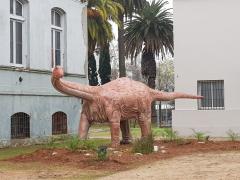 Museo de Historia Natural inauguró sede en la antigua cárcel de Miguelete