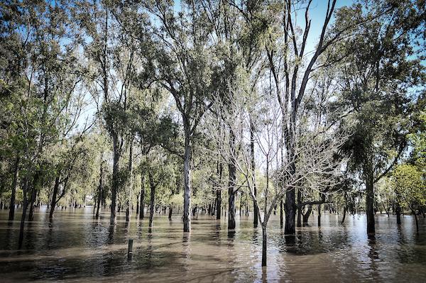 Canelones: Más de 220 solicitudes de asistencia por lluvias