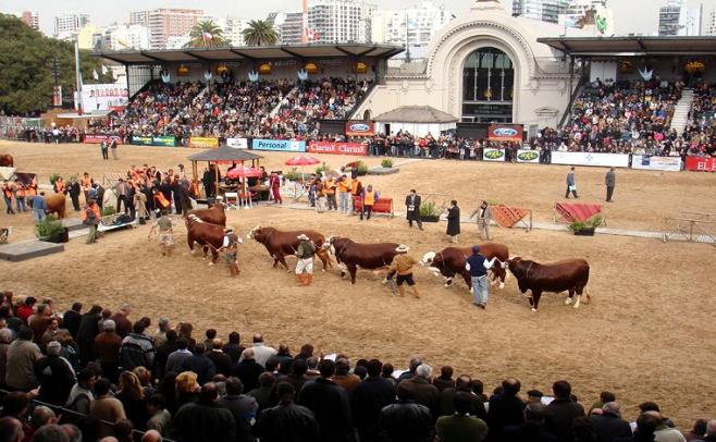 Expo Palermo: Cabañas uruguayas participan de una de las principales muestras ganaderas del Mercosur