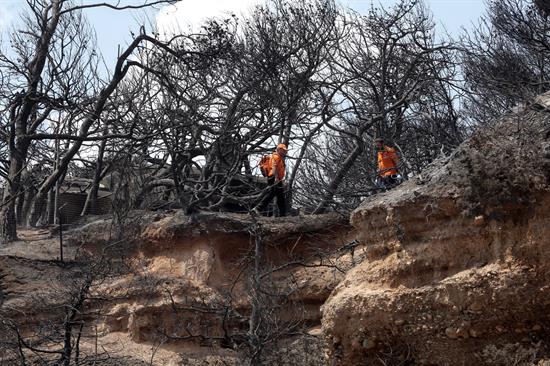 Grecia: tras mortífero incendio, ¿quién tiene la culpa?