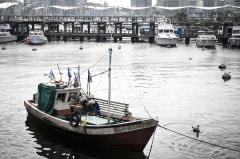 ExportaciÃ³n de productos de pesca subiÃ³ 23% en primer semestre del 2018