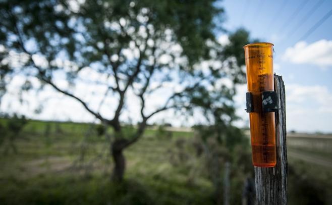 Pérez: "La próxima primavera tendría lluvias dentro de lo normal"