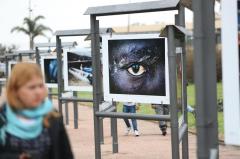 Fotoperiodista español muestra en Uruguay "infierno" de inmigrantes en Europa