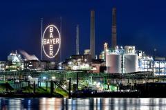 Acciones de Bayer en caída libre