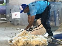 Zafra ovina: en Artigas se hizo hincapié en las buenas perspectivas para la carne y la lana